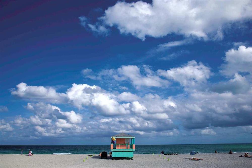 Hilton Grand Vacations Suites At South Beach Miami Beach Natura zdjęcie